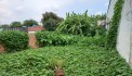 Bán đất THẠNH LỘC 19 PHƯỜNG Thạnh Lộc quận 12, Đ. 4m, giá giảm còn 6.x tỷ